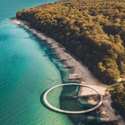 Vandretur m. guide - Norsminde - 1 dag for 1 person