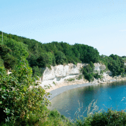 Vandretur m. guide - Stevns Klint - 1 dag for 1 person