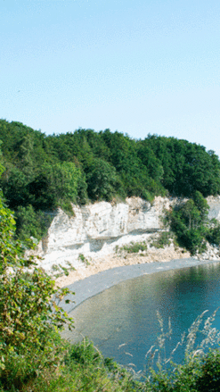 Vandretur m. guide - Stevns Klint - 1 dag for 1 person