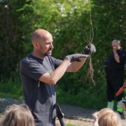Velgørenhed - Få plantet 12 træer
