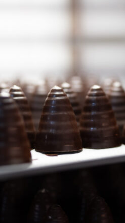 Flødebollekursus derhjemme - Flødebolleform + Opskrift