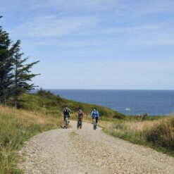 Tre cyklister på elektriske cykler på grussti i et smukt landskab med havet i baggrunden. Book en tur med Elektriske Bikes til jeres næste firmaevent. Kan arrangeres i hele landet.