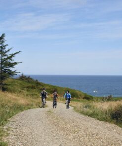 Tre cyklister på elektriske cykler på grussti i et smukt landskab med havet i baggrunden. Book en tur med Elektriske Bikes til jeres næste firmaevent. Kan arrangeres i hele landet.