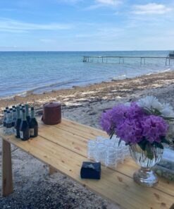 Et solidt træbord er sat op på stranden med drikkevarer og frisk afskårne blomster. Havet og en badebro ses i baggrunden. Afventer gæster til et firmaevent.