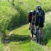 To mountainbikeryttere på en sti i grønne omgivelser. Solen skinner