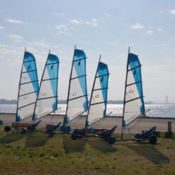 Fem strandsurfere på en græsplæne ved Fredericia Gammel Havn med Den Nye Lillebæltsbro i baggrunden.