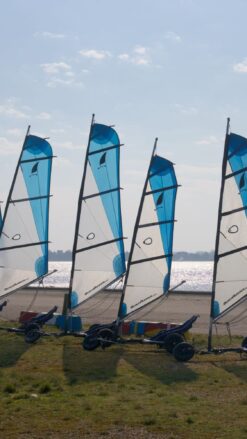 Fem strandsurfere på en græsplæne ved Fredericia Gammel Havn med Den Nye Lillebæltsbro i baggrunden.