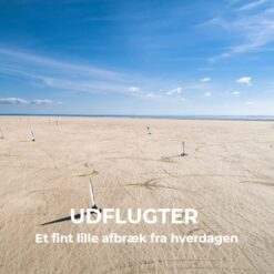 UDFLUGTER