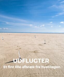 UDFLUGTER