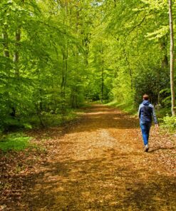 En kvinde går en tur i en grøn skov og nyder roen - skoven er oplagt til firmature og der kan arrangeres forskellige aktiviteter.