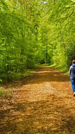 En kvinde går en tur i en grøn skov og nyder roen - skoven er oplagt til firmature og der kan arrangeres forskellige aktiviteter.