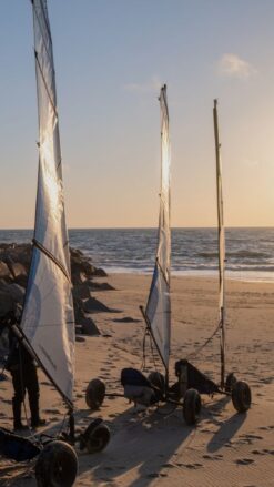 Tre strandsurfere står på en strand med solnedgangen i baggrunden.