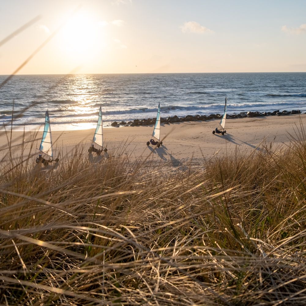 Fire strandsurfere i solnedgang på en strand. Prøv strandsurfing på Rømø til jeres næste event - det er helt sikkert og trygt for alle.