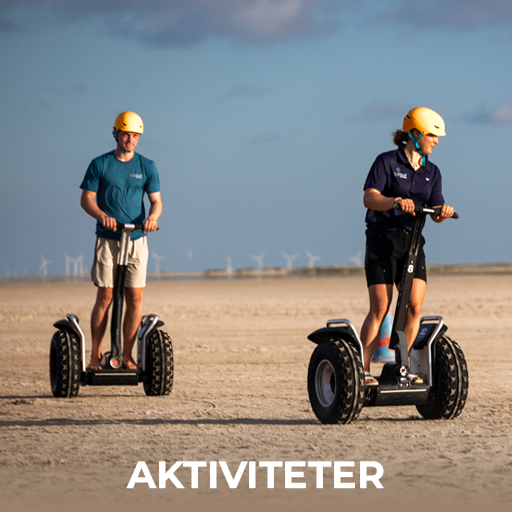 AKTIVITETER