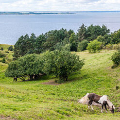 E-Bike: 3-dags tur til Samsø