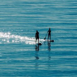 Stand Up Paddle - 2 timer for 2 personer (Hverdage)