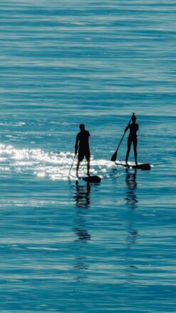 Stand Up Paddle - 2 timer for 2 personer (Hverdage)
