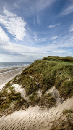 Vandretur m. guide - Blokhus til Lønstrup - 1 dag for 1 person